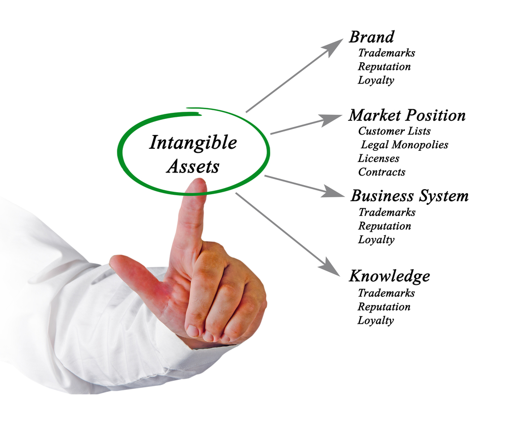 Types of intangible assets.
Source:  http://larkspurbusiness.ca/wp-content/uploads/2017/01/Intangible-asstets.jpg